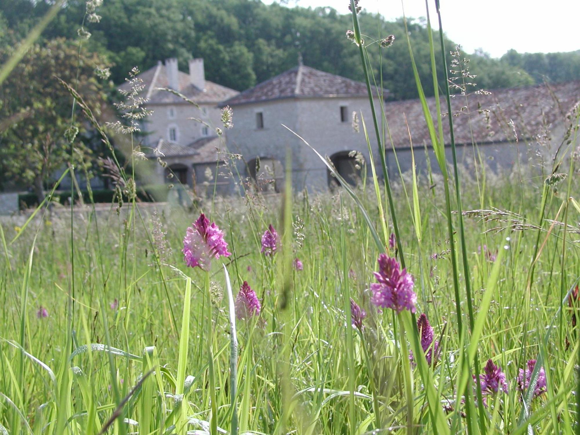 Chateau Lecusse - La Grande Roche - Hotel, Spa, Boutique & Restaurant Broze Экстерьер фото